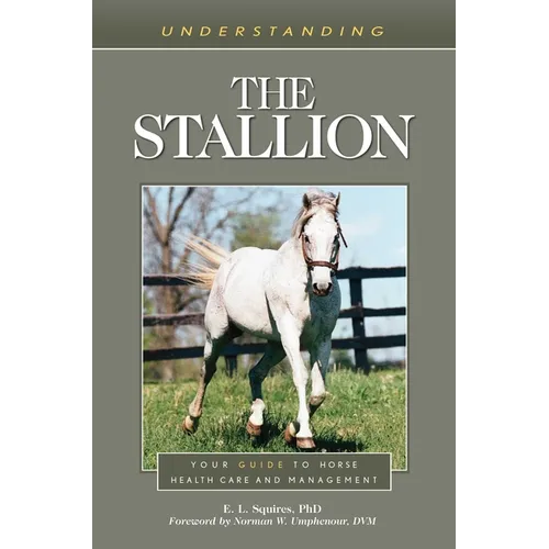 Understanding the Stallion: Your Guide to Horse Health Care and Management