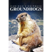Groundhogs - Curious Kids Press: Kids book about animals and wildlife, Children's books 4-6