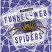 Funnel-Web Spiders