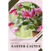 Easter Cactus: Plant Guide