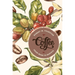 Coffee: From Bean to Barista