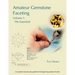 Amateur Gemstone Faceting Volume 1: The Essentials