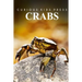Crabs - Curious Kids Press: Kids book about animals and wildlife, Children's books 4-6