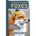 An Explorer's Guide to Foxes