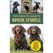 The Complete Guide to Boykin Spaniels: Selecting, Training, Field Work, Nutrition, Health Care, Exercising, Socializing, and Loving Your New Boykin Sp