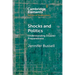 Shocks and Politics