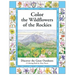 Color the Wildflowers of the Rockies: Discover the Great Outdoors
