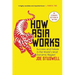 How Asia Works: Success and Failure in the World's Most Dynamic Region