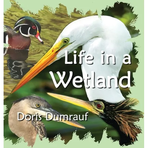 Life In A Wetland