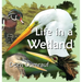 Life In A Wetland
