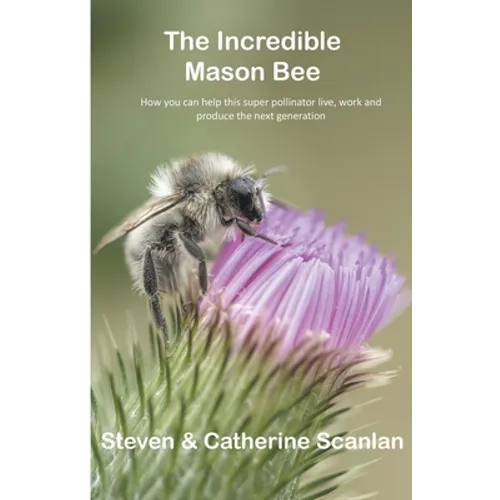 Incredible Mason Bee