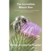 Incredible Mason Bee