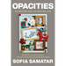 Opacities: On Writing and the Writing Life