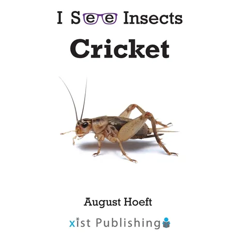 Cricket