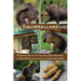 Squirrelland: Imagination and the Alaska Red Squirrel