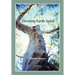 Divining Earth Spirit