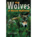 The Wolves of Mount McKinley