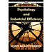 Psychology and Industrial Efficiency