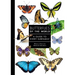 Butterflies of the World: A Guide to Every Subfamily