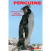 Penguins: Kids Picture Book and Facts about Penguins