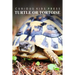 Turtle Or Tortoise - Curious Kids Press: Kids book about animals and wildlife, Children's books 4-6