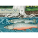 Bull Trout's Gift: A Salish Story about the Value of Reciprocity