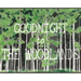 Goodnight to The Woodlands