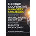 Electric Cooperative Managers' Strategies to Enhance Organizational Commitment to Increase Employee Productivity