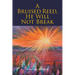A Bruised Reed, He Will Not Break