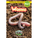Worms: Backyard Bugs and Creepy-Crawlies (Engaging Readers, Level Pre-1)