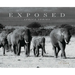 Exposed: Africa Series