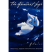 The Abundant Life