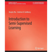 Introduction to Semi-Supervised Learning