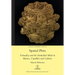 Spatial Plots: Virtuality and the Embodied Mind in Baricco, Camilleri and Calvino