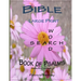 Bible Large Print Word Search: Book of Psalms (Selected Verses)