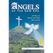 Angels of the New Era: 33 Days to Teach Your Soul How to Fly
