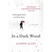 In a Dark Wood: A Memoir