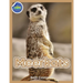 Meerkat Activity Workbook for Kids ages 4-8