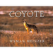 Coyote