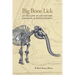 Big Bone Lick: An Outline of Its History, Geology, & Paleontology
