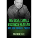 The Great Small Business Plateau