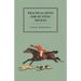 Practical Hints for Hunting Novices