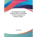 The Pythagorean Triangle Explained With A Dissertation On The Peculiarities Of Masonic Number