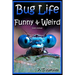 Bug Life Funny & Weird Insect Animals: Learn with Amazing Photos and Fun Facts About Bugs and Spiders