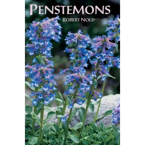 Penstemons