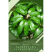 Schefflera actinophylla: Plant Guide