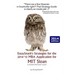 EssaySnark's Strategies for the 2014-'15 MBA Application for MIT Sloan: A SnarkStrategies Guide
