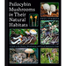 Psilocybin Mushrooms in Their Natural Habitats: A Guide to the History, Identification, and Use of Psychoactive Fungi