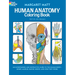 Human Anatomy Coloring Book