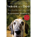 Inside of a Dog: What Dogs See, Smell, and Know